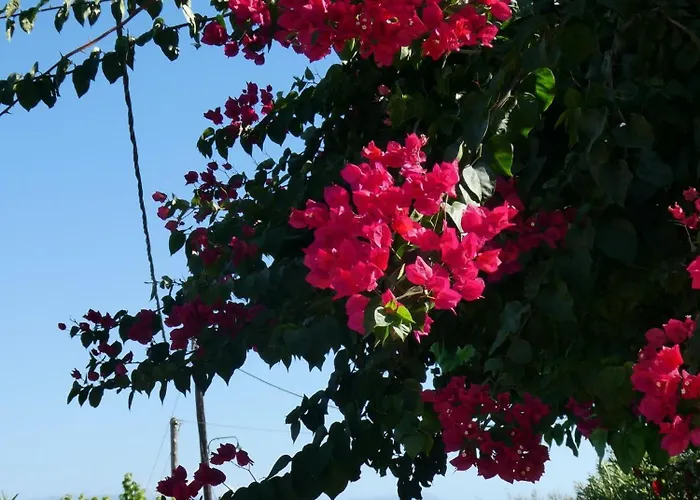 Petros, Vassiliki, Lefkada - 3 Bedrooms, Pool, Stunning Views *