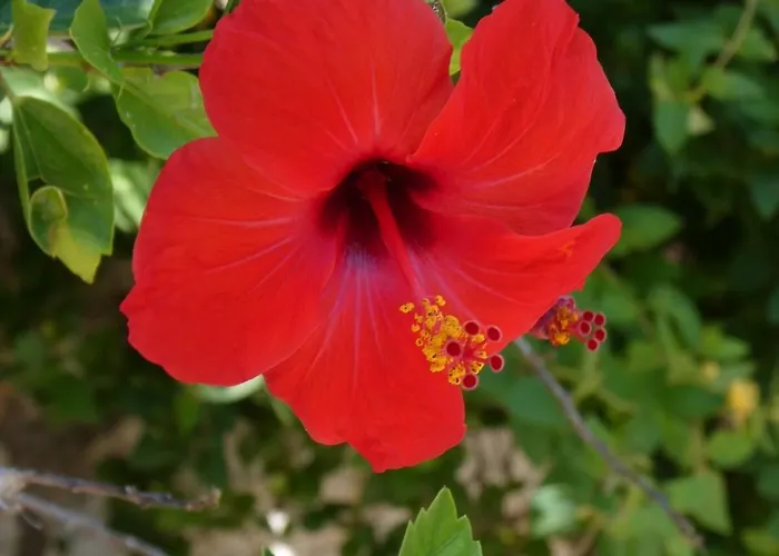 Petros, Vassiliki, Lefkada - 3 Bedrooms, Pool, Stunning Views Pondi